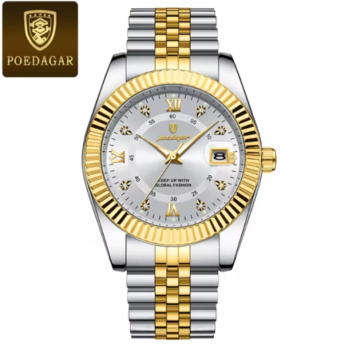 Poedagar Men's Watch(সিটি লক)